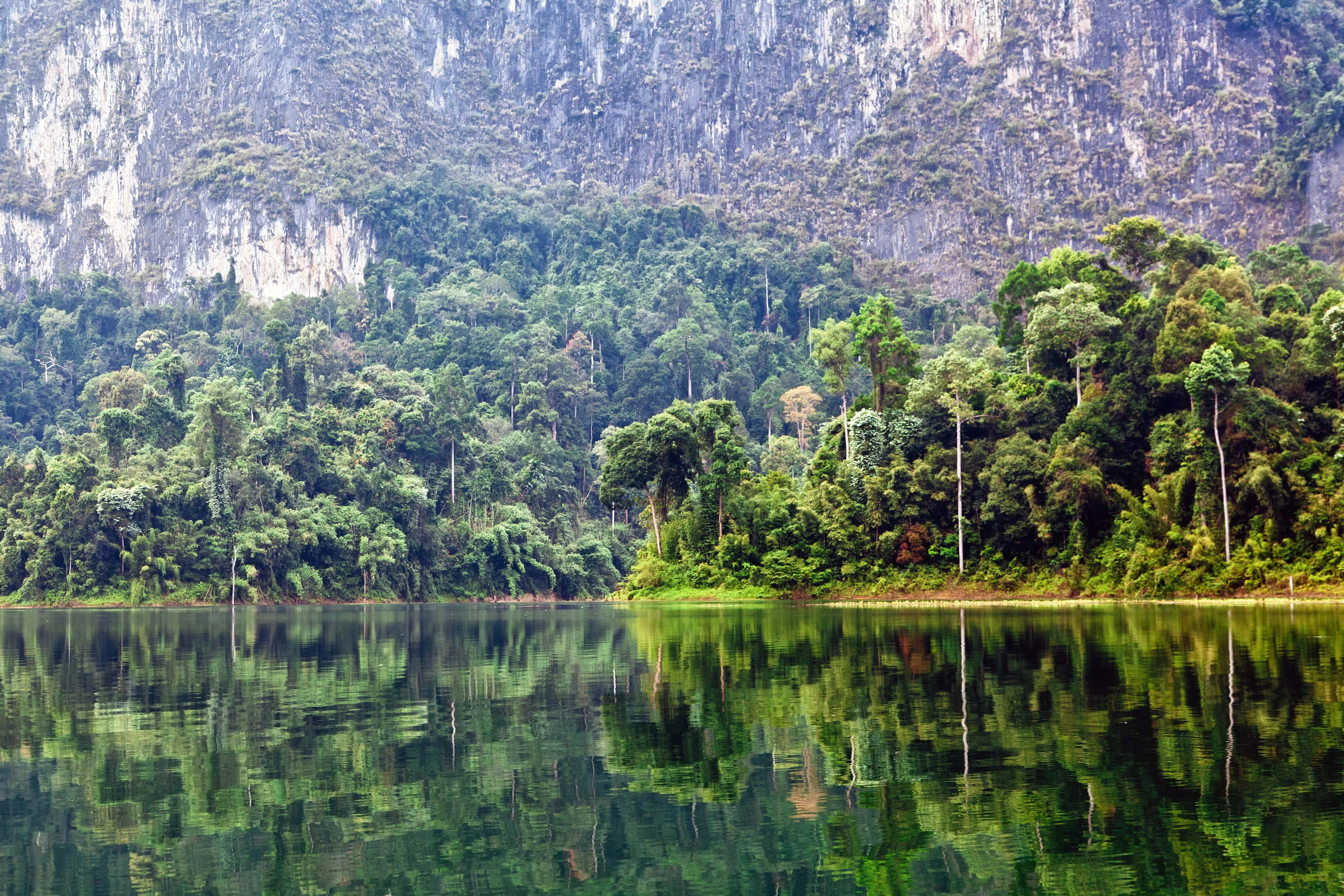 Tajlandia - Khao Sok i Cheow Lan Lake (4).jpg